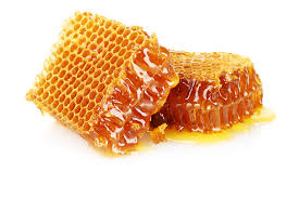 Palosi Organic Honey 1 kg- big bee